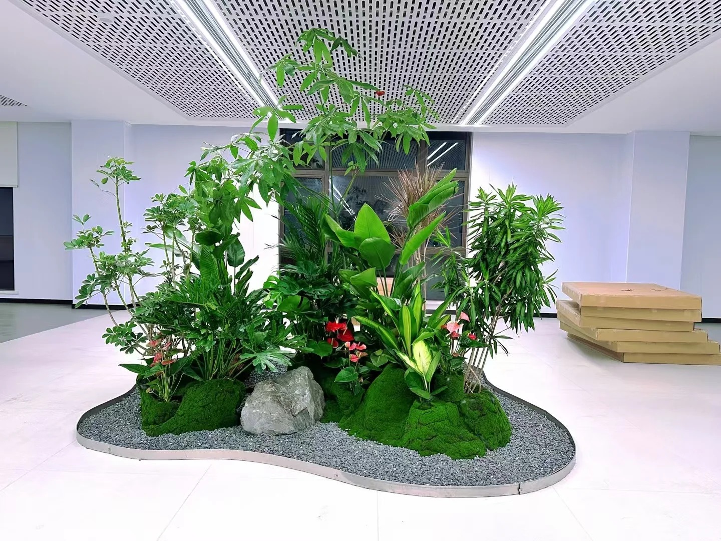 专业植物出租,宁波杭州湾的绿色空间缔造者